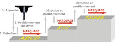 Autosensing